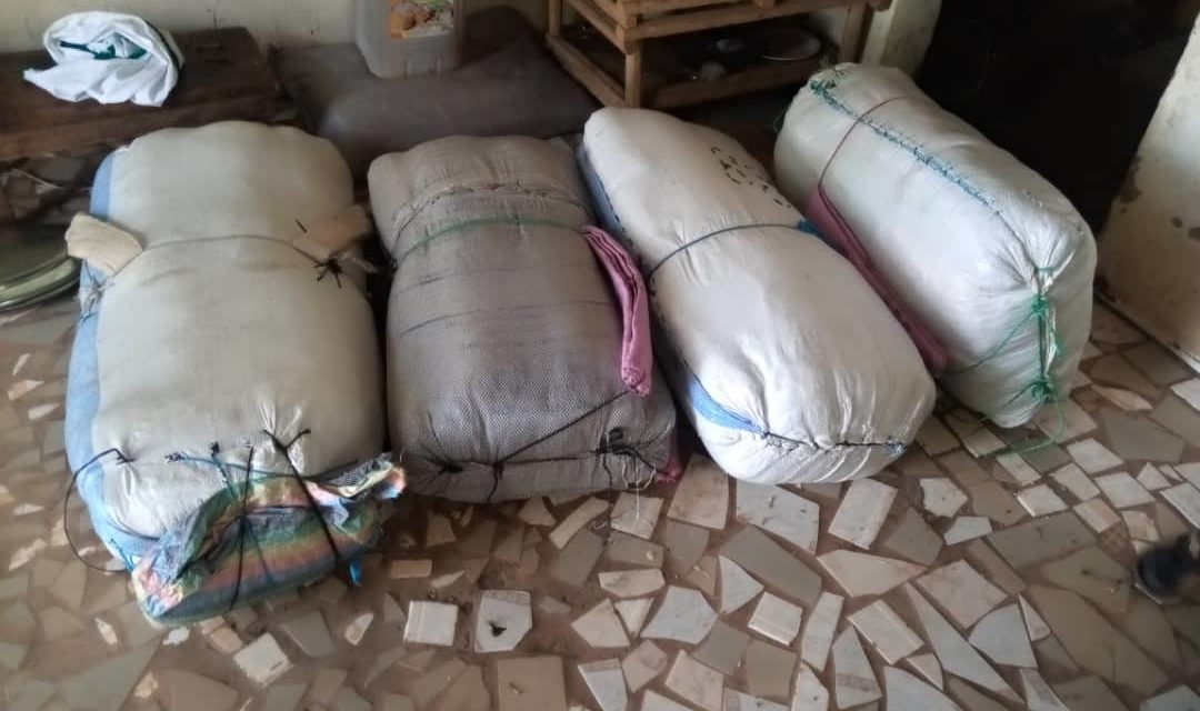 CROISADE CONTRE LE TRAFIC INTERNATIONAL DE STUPEFIANTS ET DE PRODUITS ILLICITES : La Brigade mobile des Douanes de Nioro a intercepté près de 100 kg de chanvre indien sur la berge du fleuve Saloum